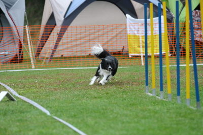 HSV Plnterwald 05.10.13