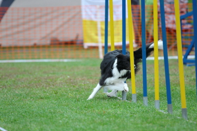 HSV Plnterwald 05.10.13