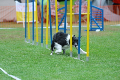 HSV Plnterwald 05.10.13