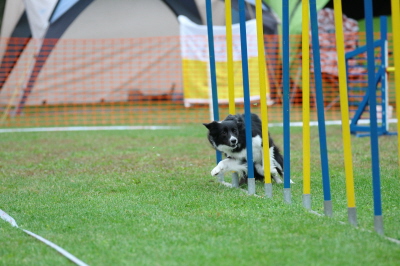 HSV Plnterwald 05.10.13