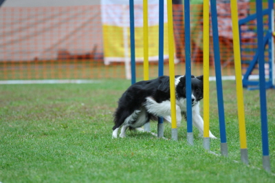 HSV Plnterwald 05.10.13