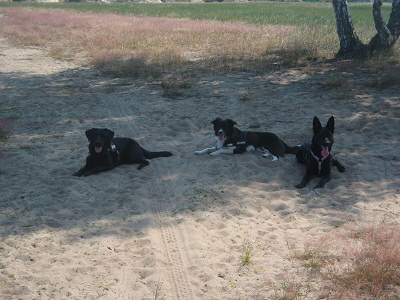 Luna&Fay&Lina Juni 2010