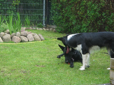 Fay&Lina Juni 2010