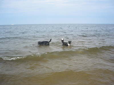 Urlaub 2010