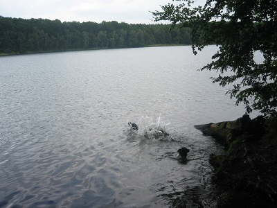 Urlaub 2010 