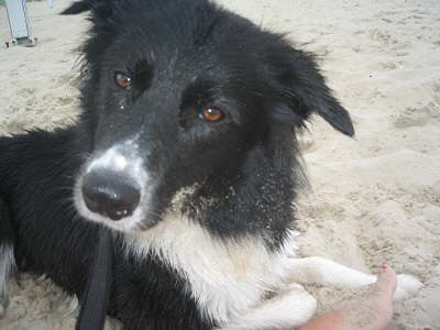 Urlaub 2010 