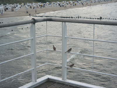 Urlaub 2010 