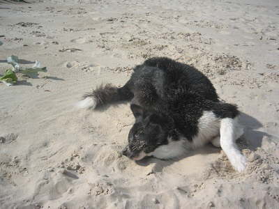 Urlaub 2010 