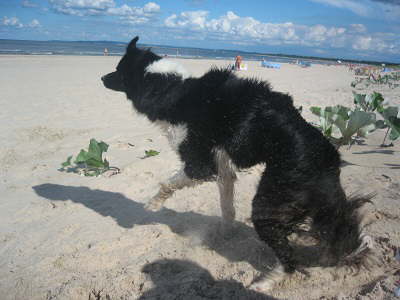 Urlaub 2010 