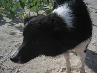 Urlaub 2010 