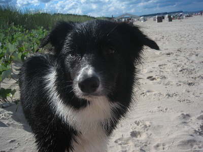 Urlaub 2010 