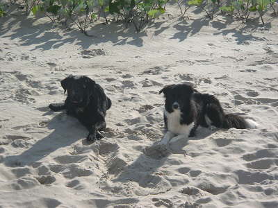 Urlaub 2010 